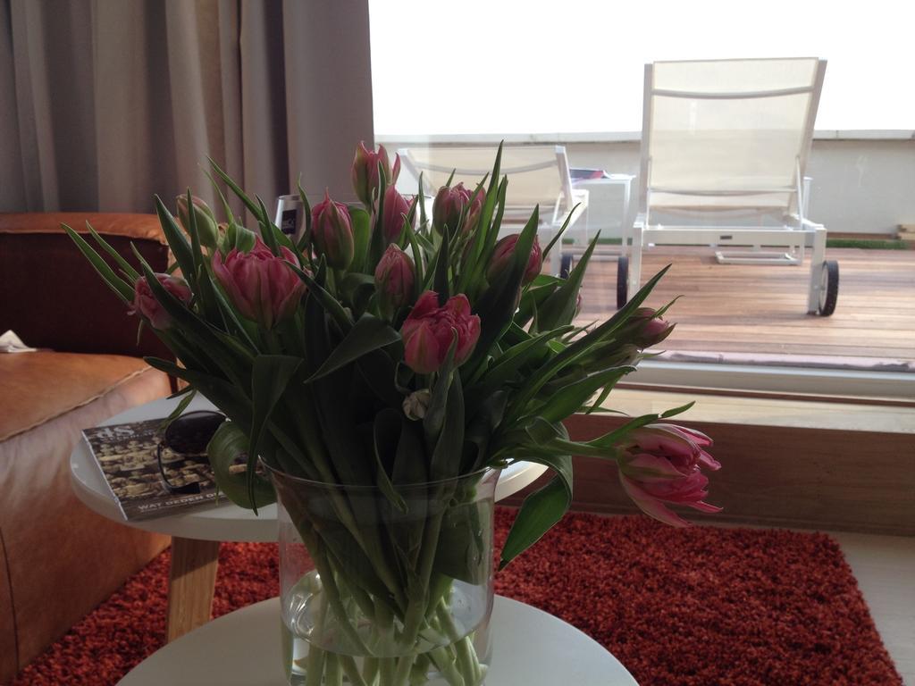 Penthouse William Apartamento *